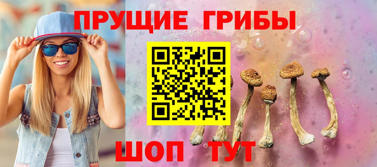 Галлюциногенные грибы GOLDEN TEACHER Гудермес
