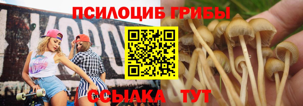 Гудермес  Галлюциногенные грибы Psilocybe  Вход с VPN  Псилоцибиновые грибы Cubensis 